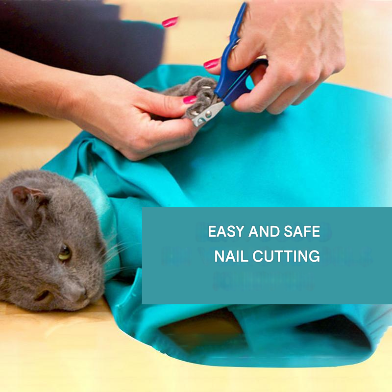 Cozy Pet Carrier for Safe Travel