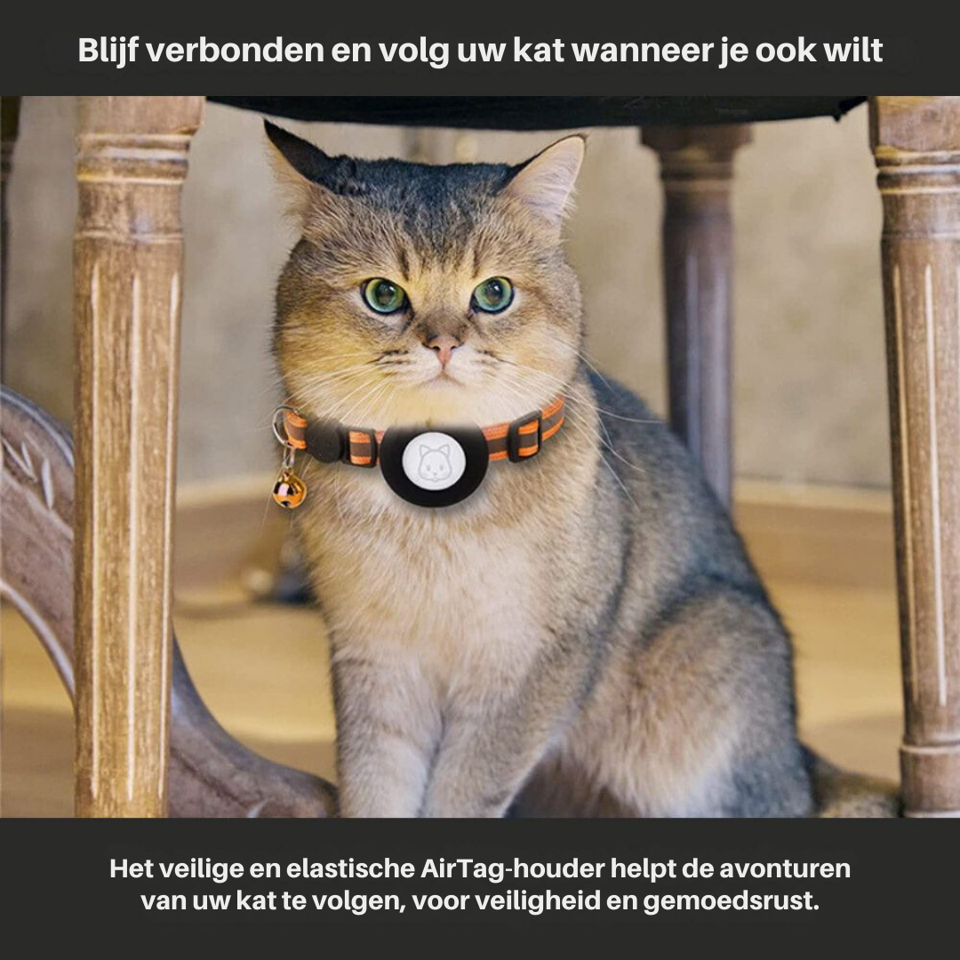 Petite Cat Breakaway Collar with Quick Release - Befez