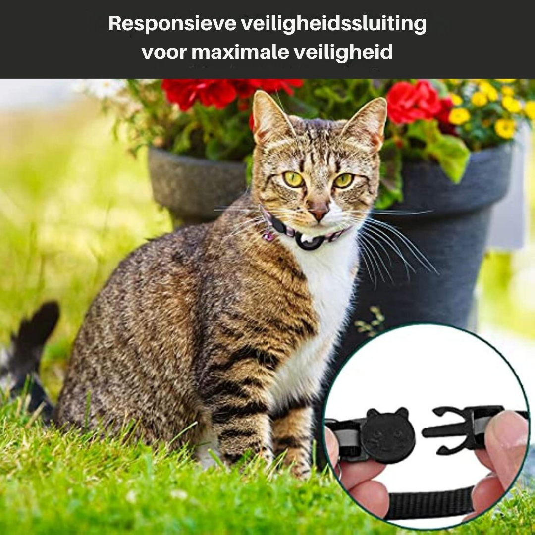 Petite Cat Breakaway Collar with Quick Release