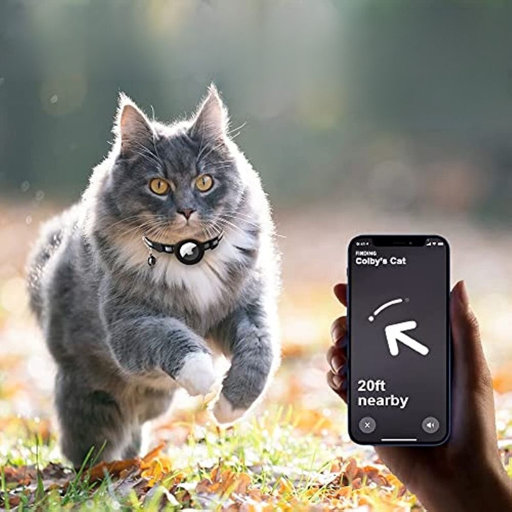 Adjustable Cat Collar with Quick Release