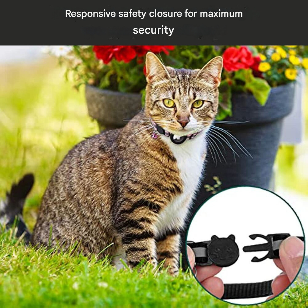 Adjustable Cat Collar with Quick Release