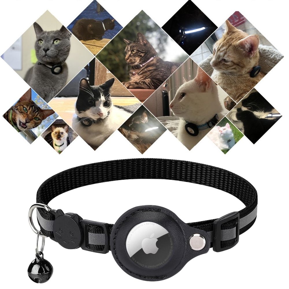 Adjustable Cat Collar with Quick Release