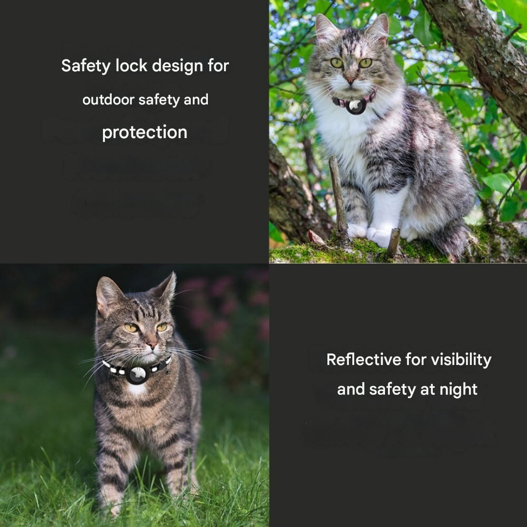 Adjustable Cat Collar with Quick Release