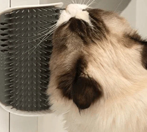 Pet Gentle Grooming Brush for Cats