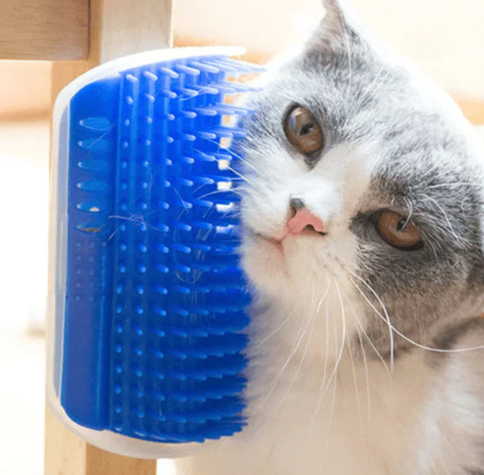 Pet Gentle Grooming Brush for Cats
