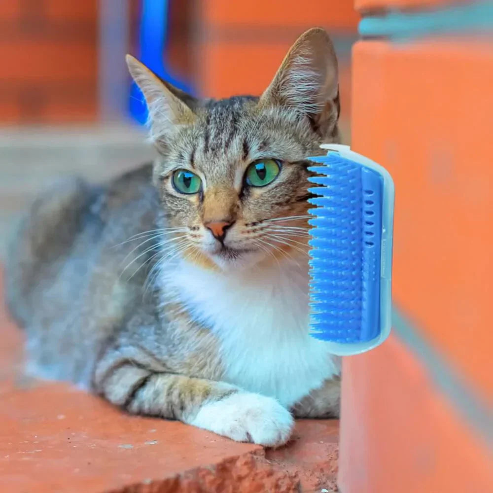 Pet Gentle Grooming Brush for Cats