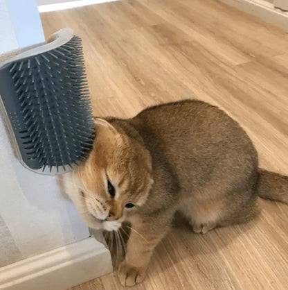 Pet Gentle Grooming Brush for Cats