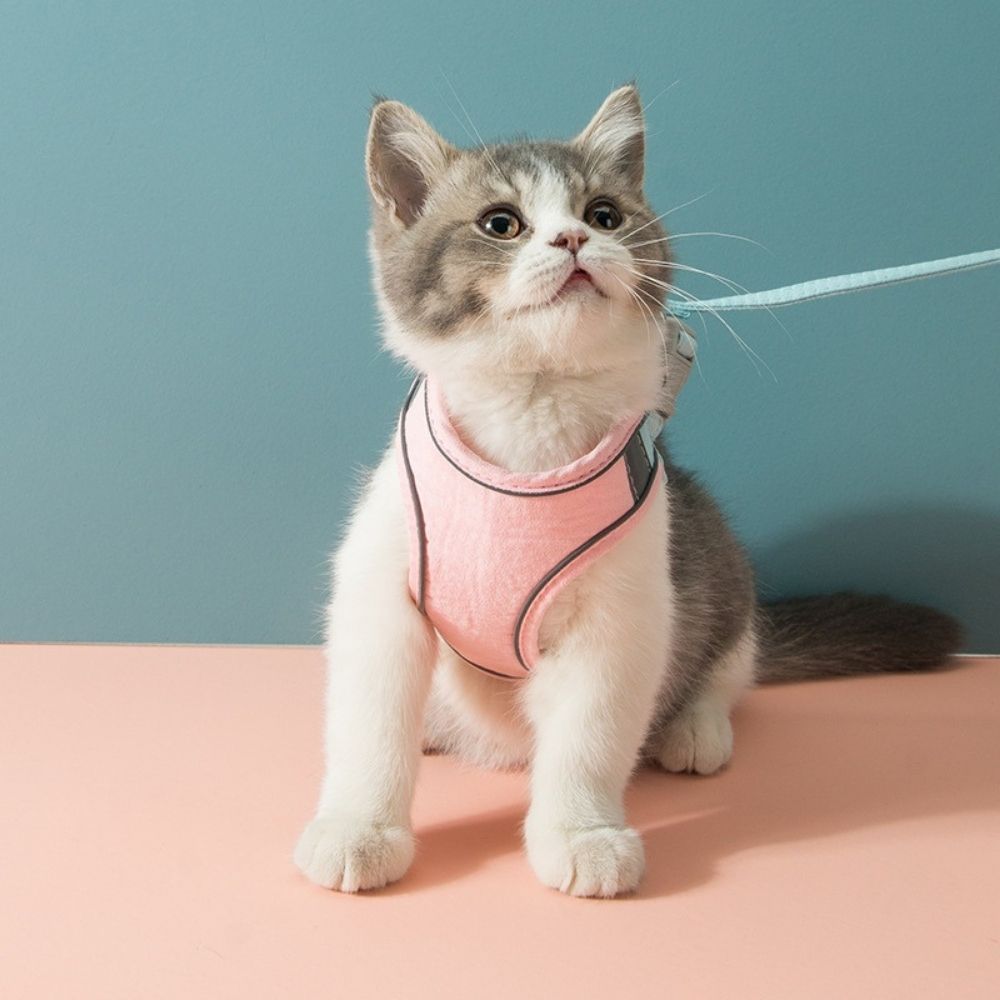 Comfortable Kitty Walking Vest