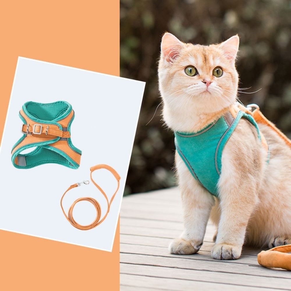 Comfortable Kitty Walking Vest