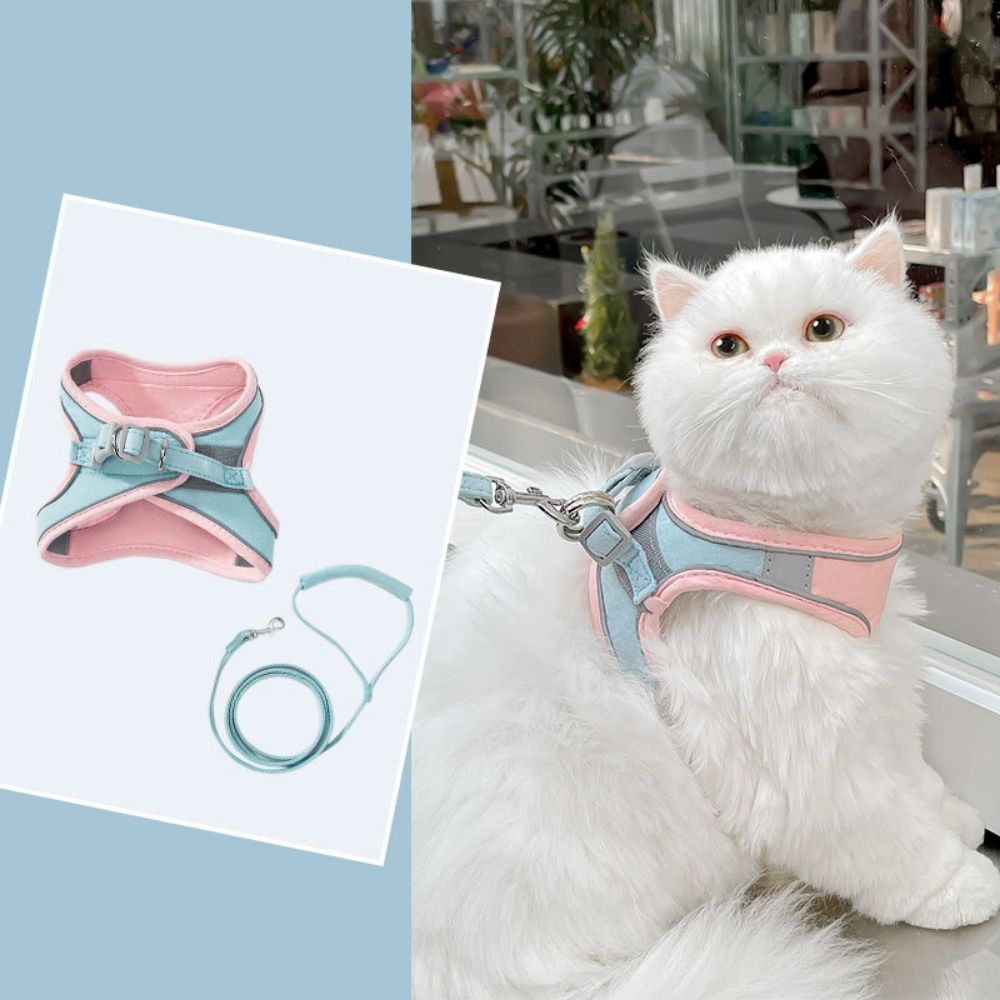 Comfortable Kitty Walking Vest