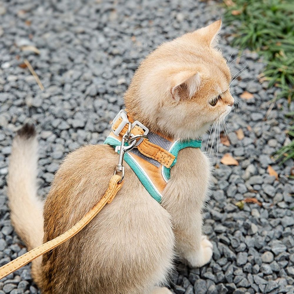 Comfortable Kitty Walking Vest - Befez