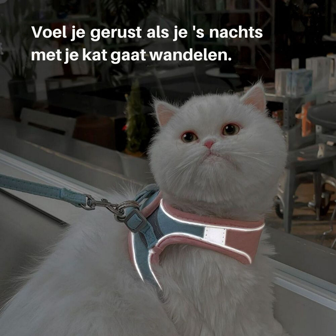 Comfortable Kitty Walking Vest