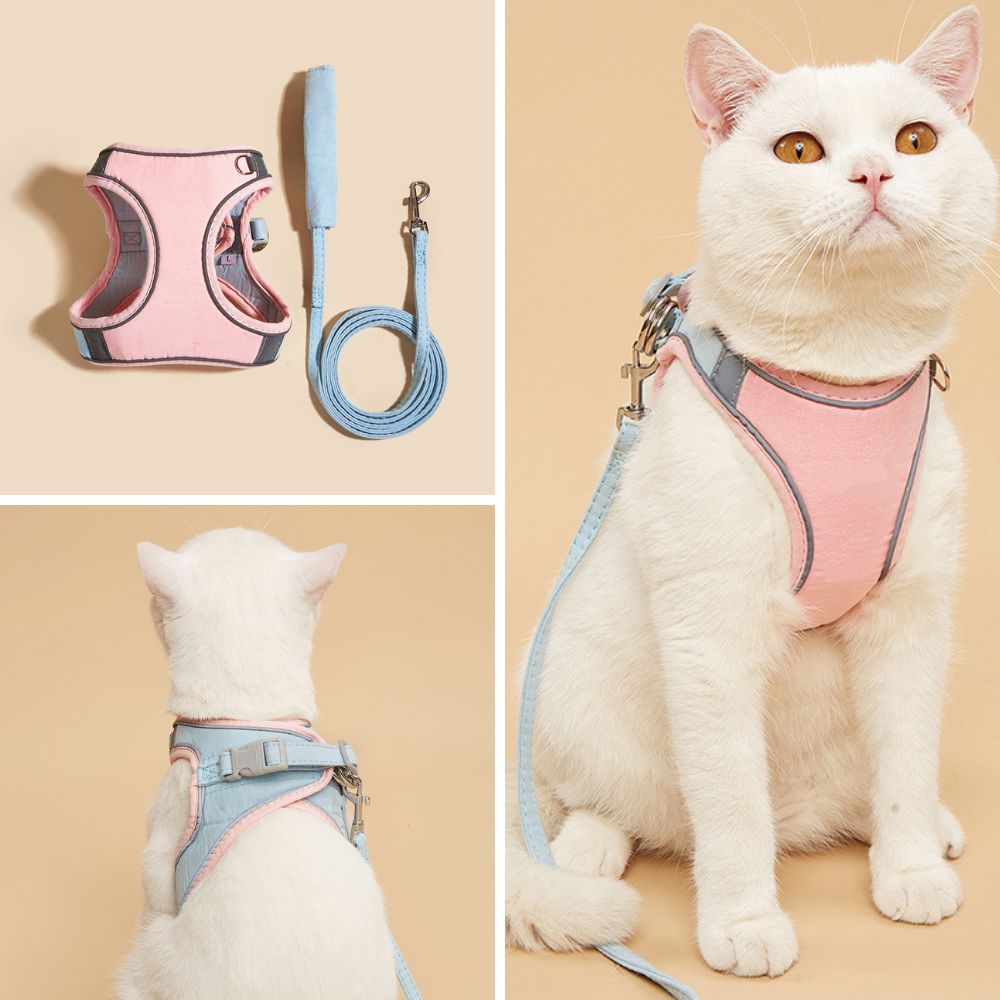 Comfortable Kitty Walking Vest