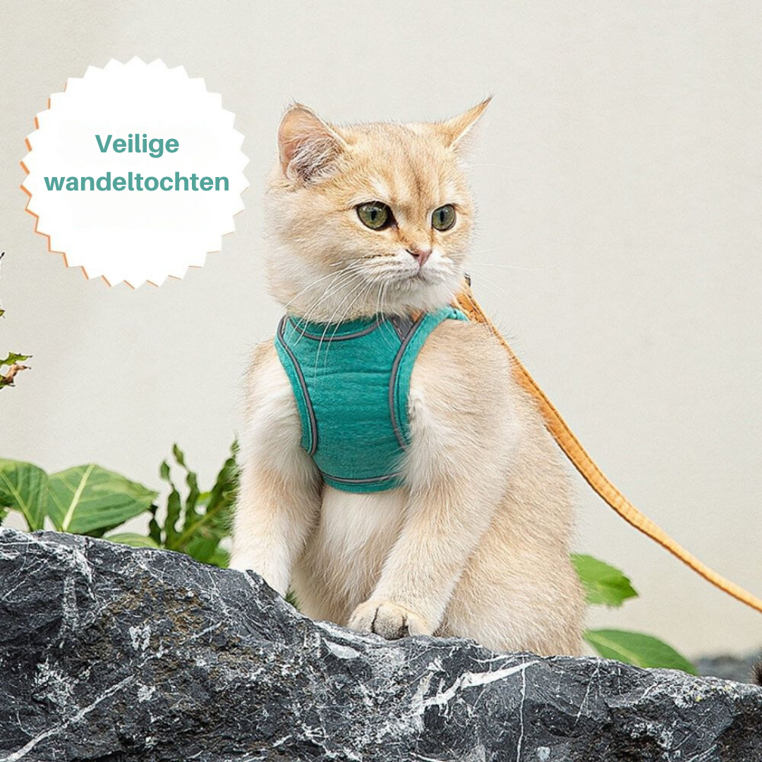 Comfortable Kitty Walking Vest