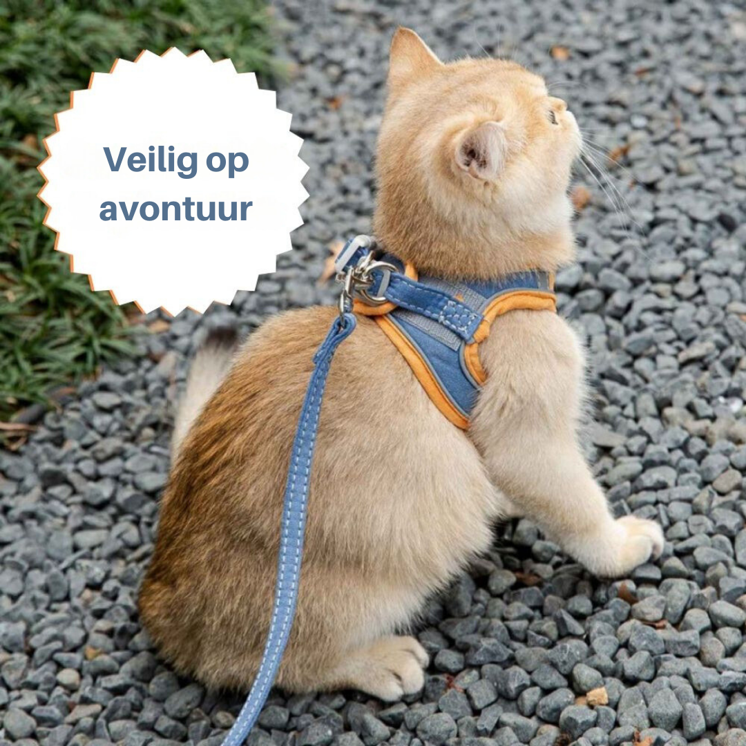 Comfortable Kitty Walking Vest
