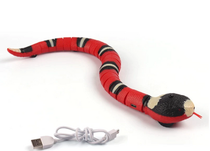 Fun Interactive Cat Play Toy