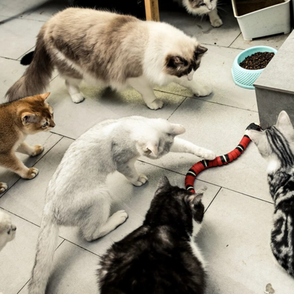 Fun Interactive Cat Play Toy