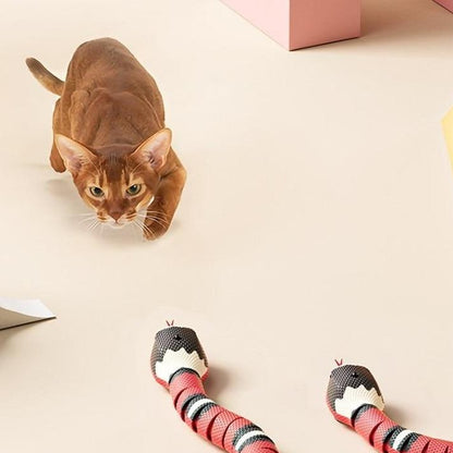 Fun Interactive Cat Play Toy - Befez