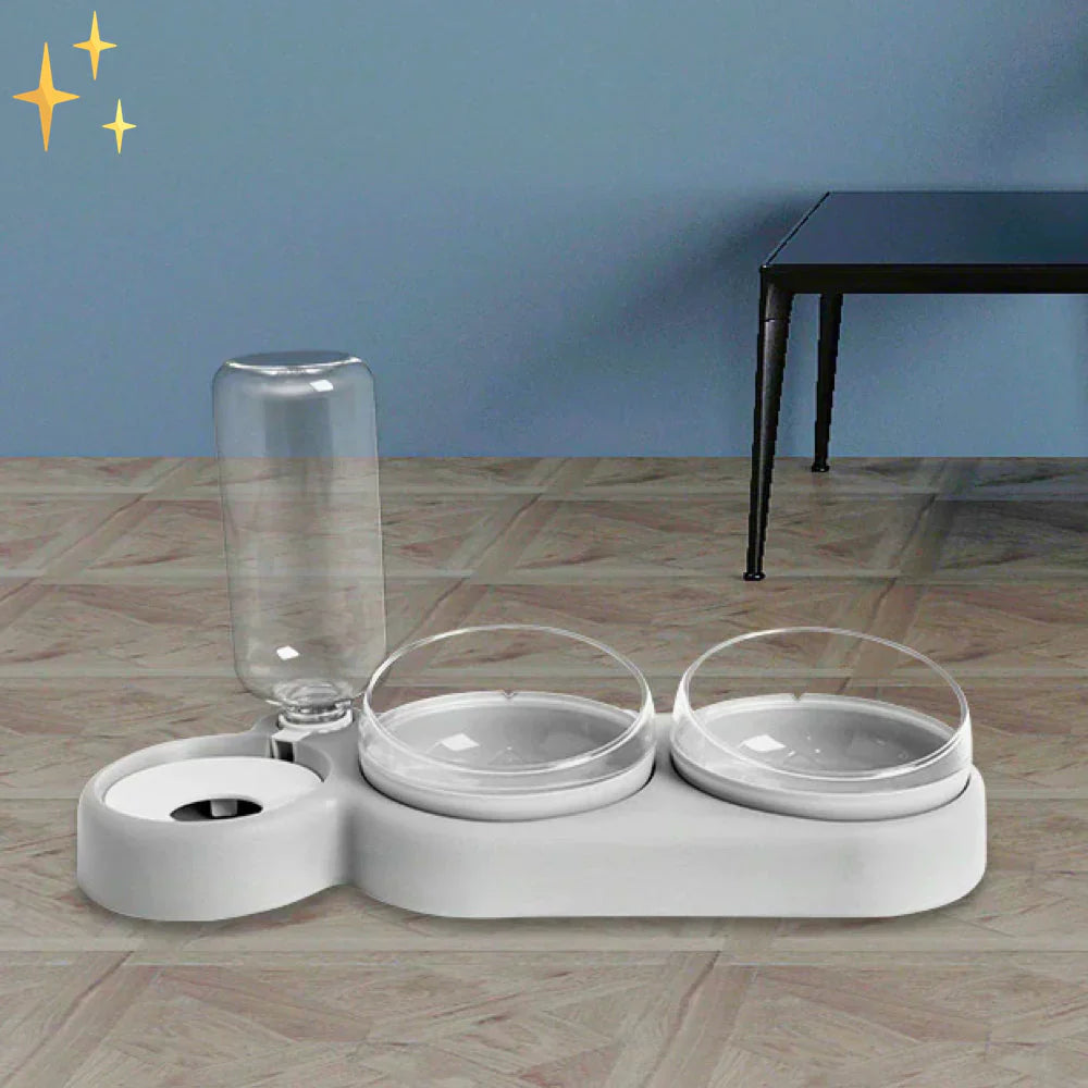 Easy Clean Double Pet Bowl with Automatic Water Dispenser