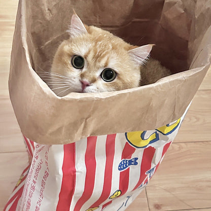 Fun Cat Play Cardboard Box Toy