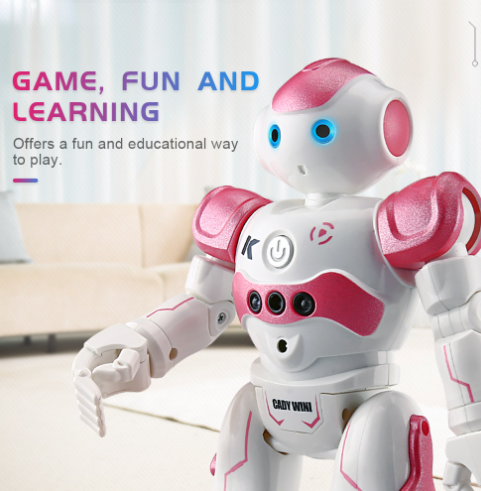 Smart RC Robot Toy