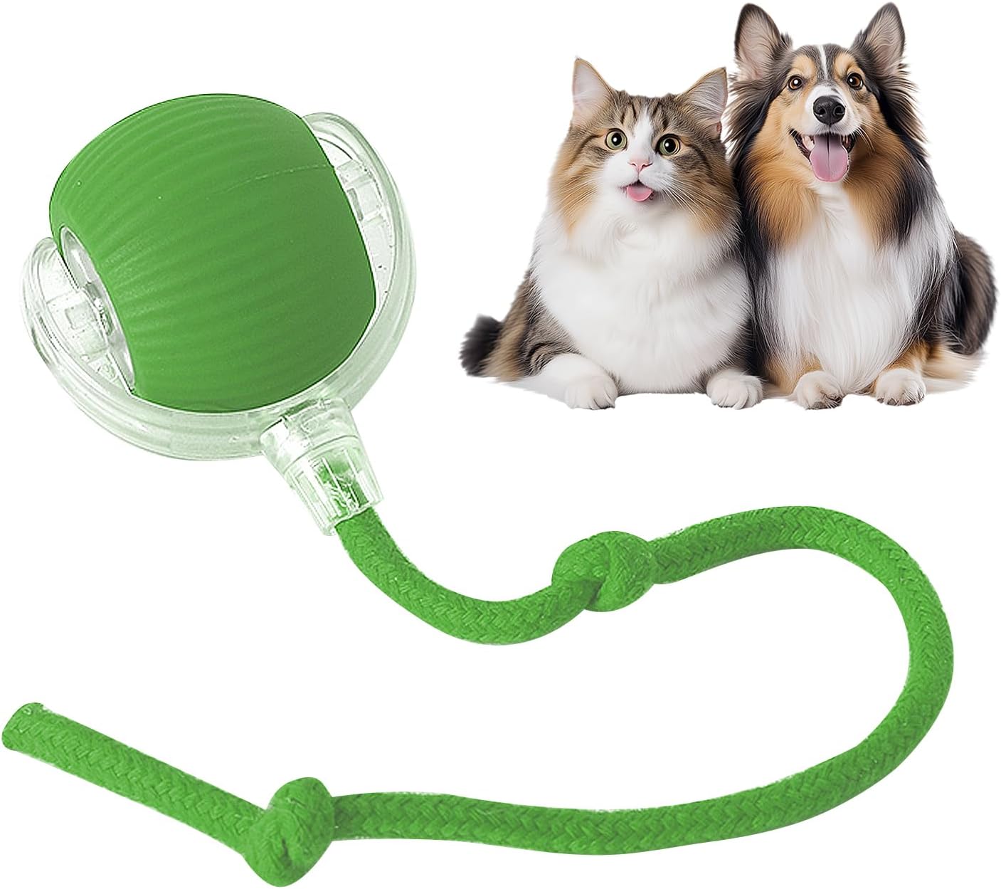 Fun Interactive Pet Ball Set