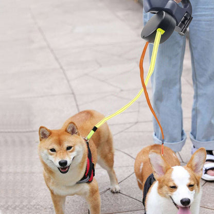 Best Dog Befez Solution