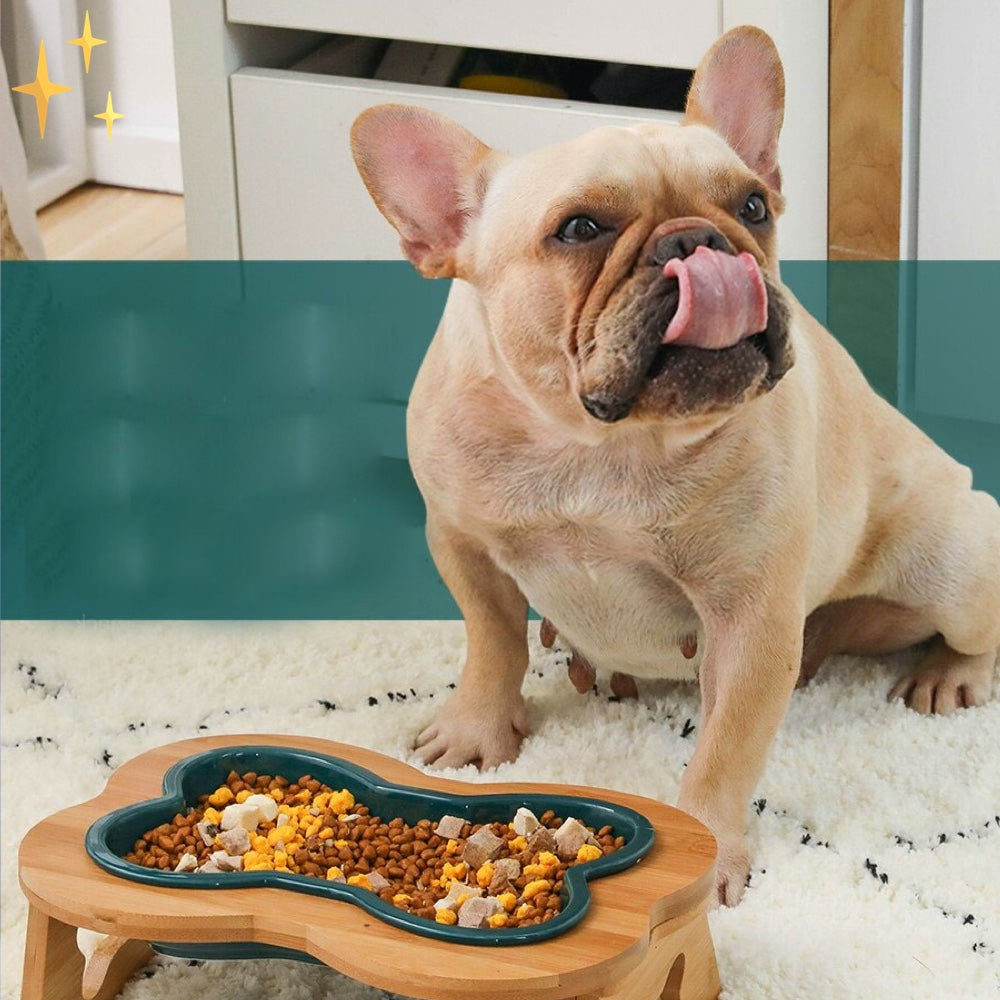 Pet Wooden Elevated Ceramic Dog Food Dish