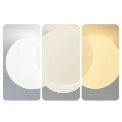 Stylish Contemporary Ceiling Light Fixture