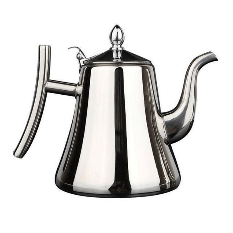 Premium Electric Kettle with Filter, Stainless Steel Teapot