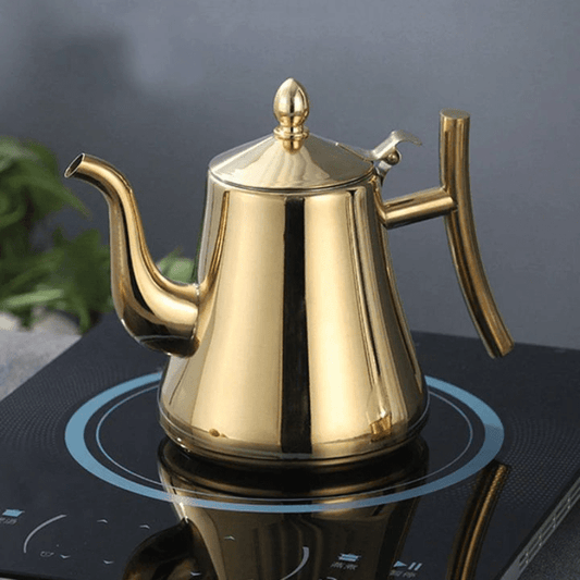 Premium Electric Kettle with Filter, Stainless Steel Teapot - Befez