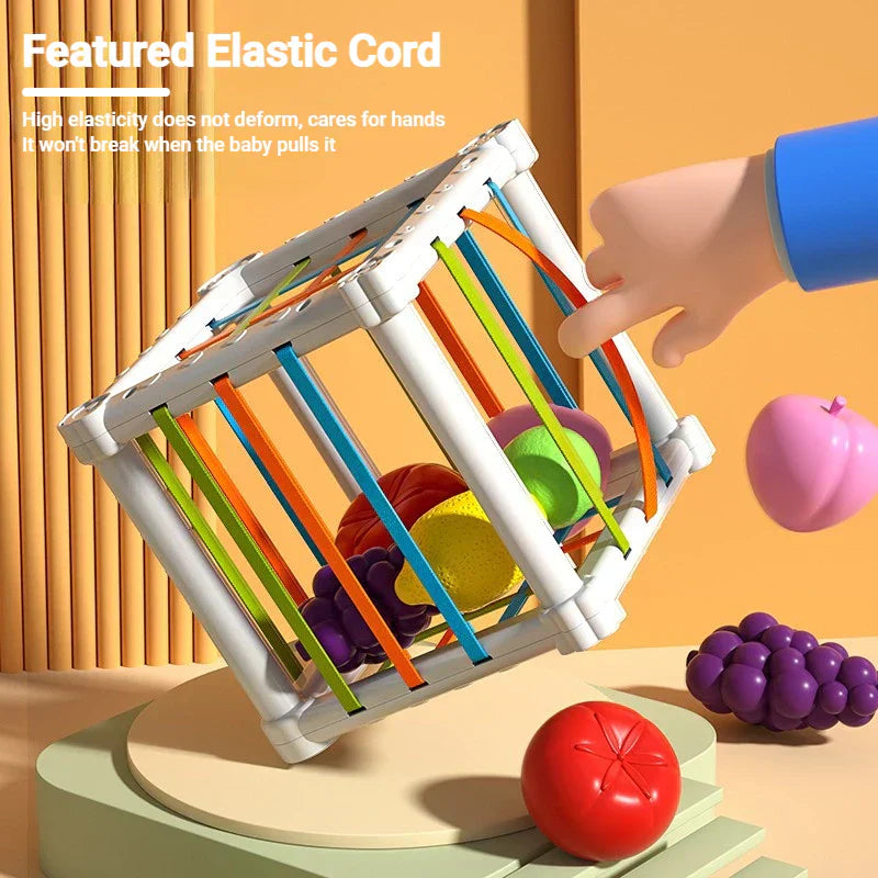 Educational Wooden Shape Sorting Toy Box