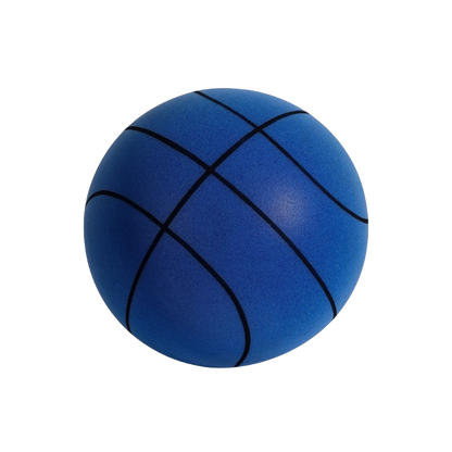 Quiet Indoor Basketball Hoop Ball