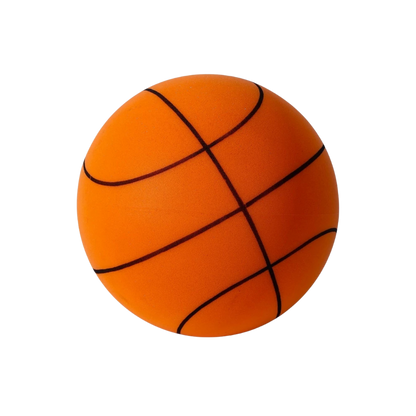 Quiet Indoor Basketball Hoop Ball