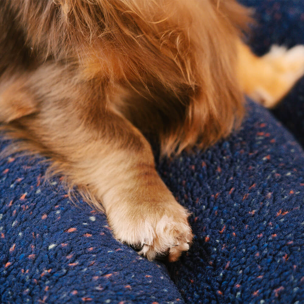 Plush Pet Dog Bed