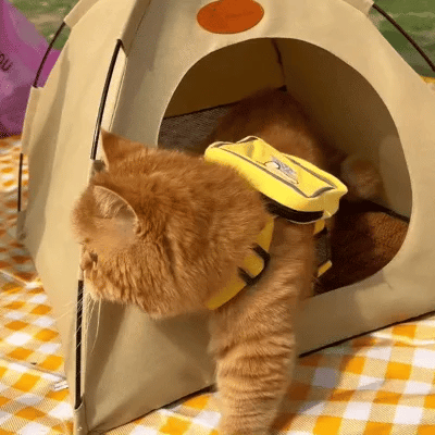 Portable Pet Cooling Shelter