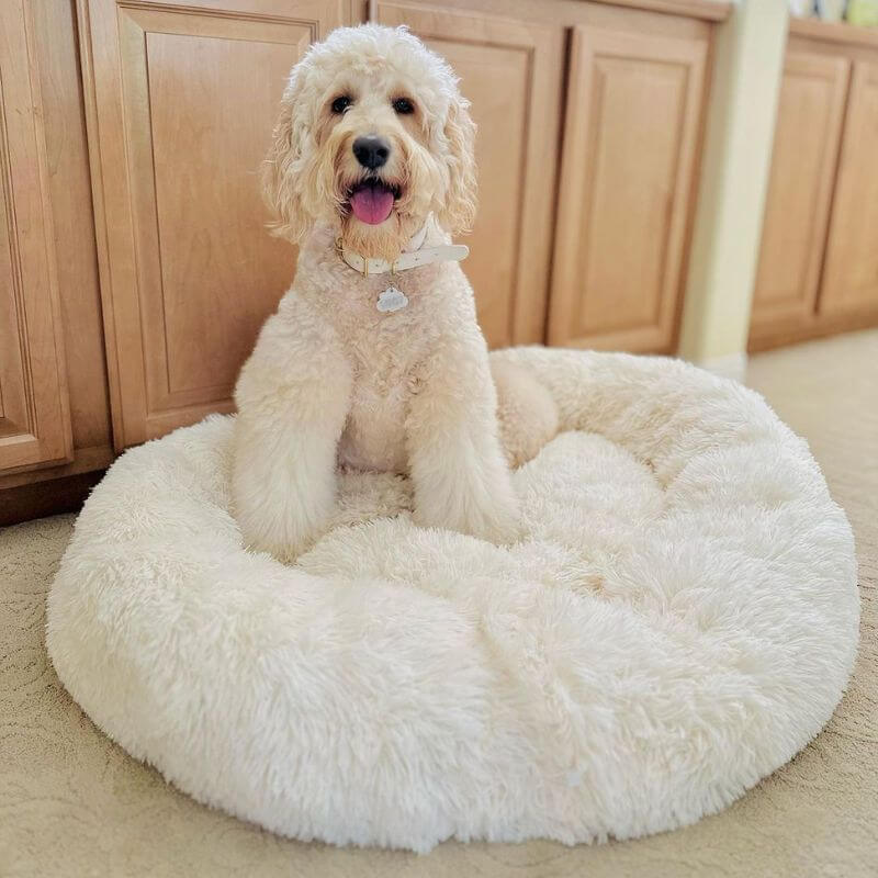Comfortable Pet Relaxation Dog Bed