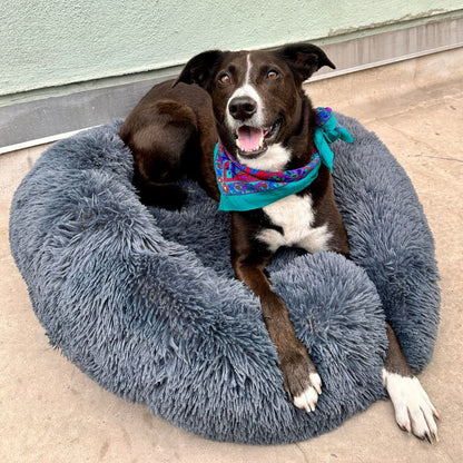 Comfortable Pet Relaxation Dog Bed