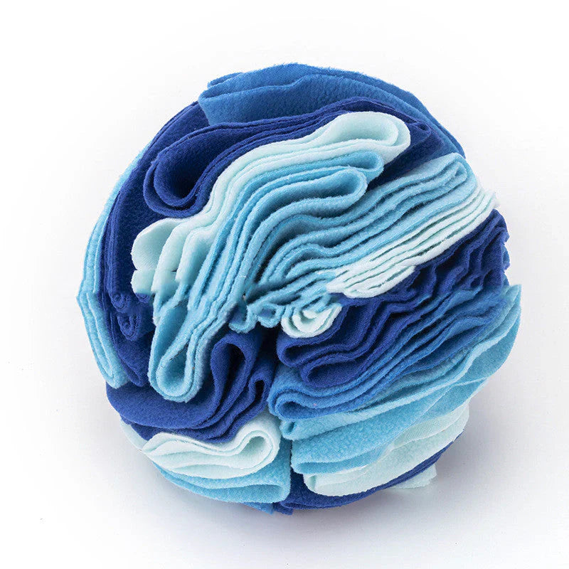 Fun Scented Ball Toy for Dogs