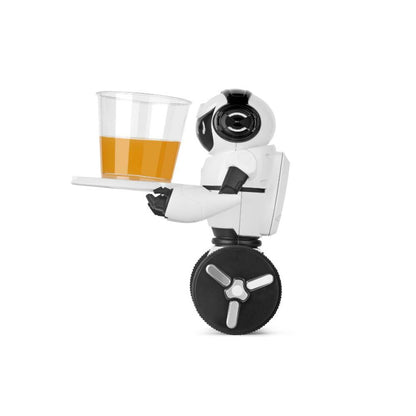 Fun Remote Control Balance Robot Toy