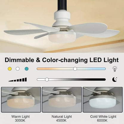 Compact 2-in-1 Ceiling Fan and Light with Remote