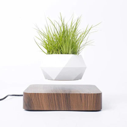 Unique Floating Plant Decor