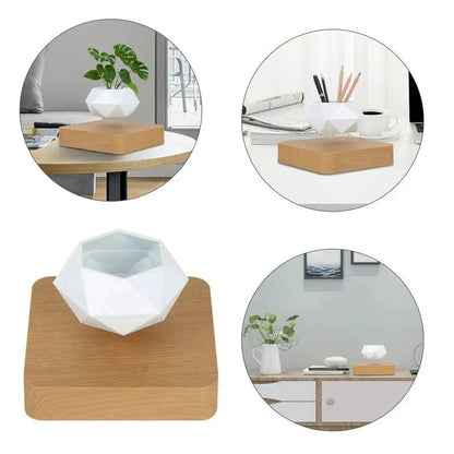 Unique Floating Plant Decor