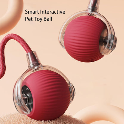 Fun Interactive Pet Ball Set