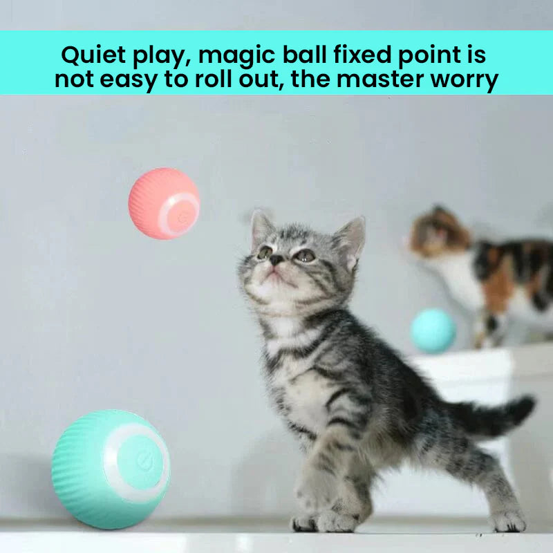 Dual Action Feather Teaser Cat Toy