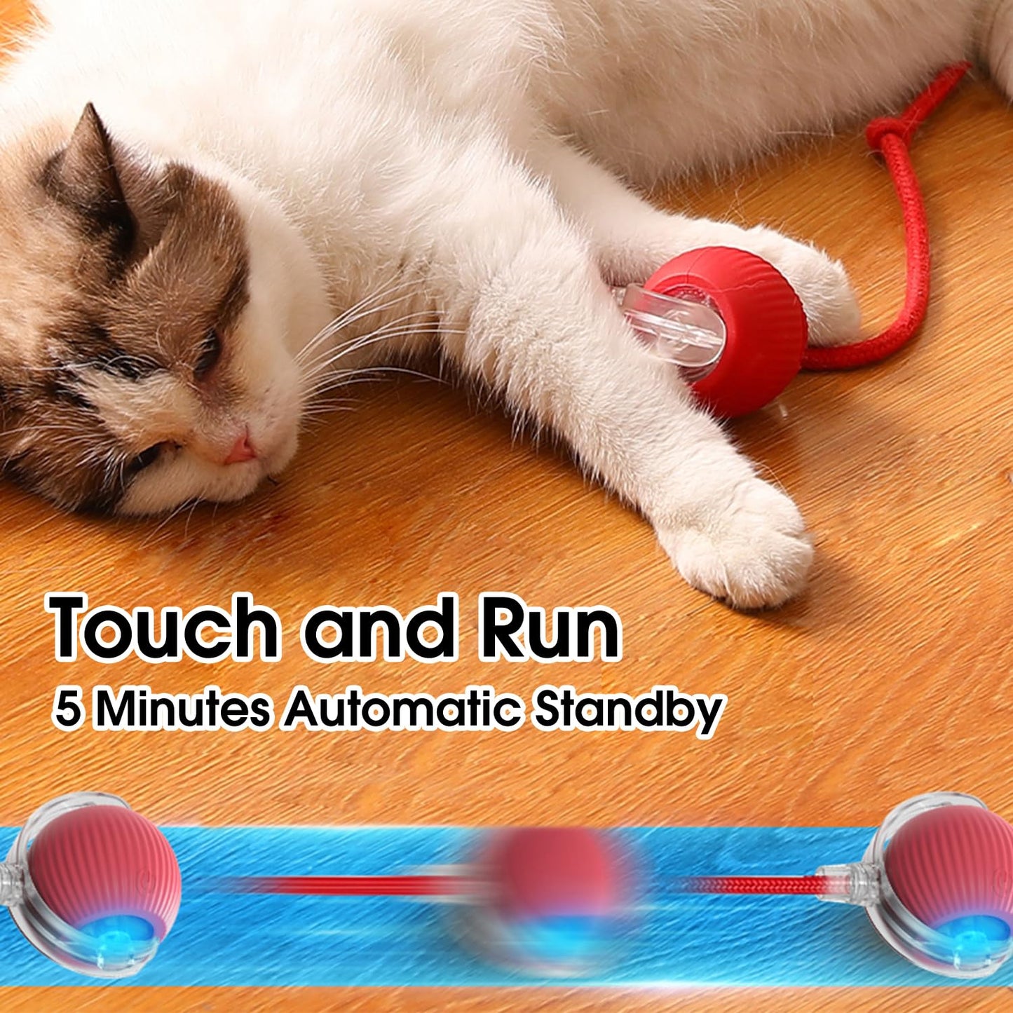 Fun Interactive Pet Ball Set