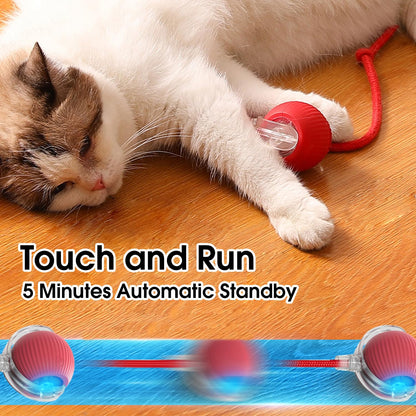 Fun Interactive Pet Ball Set