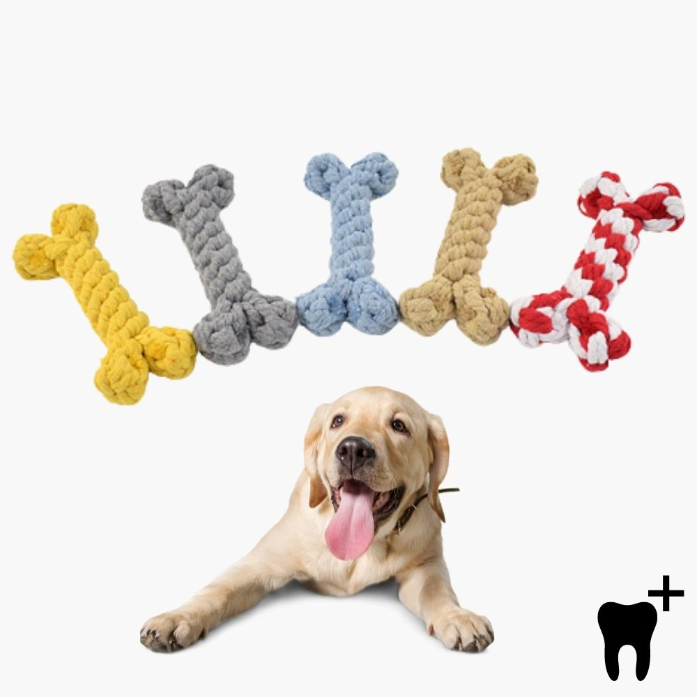 Healthy Dog Dental Chew Toy