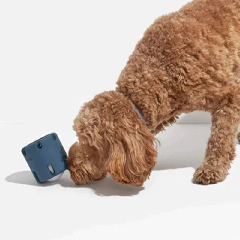Fun Dog Teeth Cleaning Chew Toys