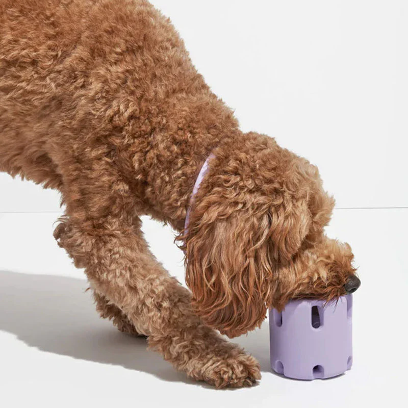 Fun Dog Teeth Cleaning Chew Toys - Befez